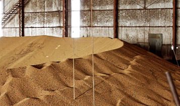 Acidentes fatais em silos de grãos levantam preocupação sobre a segurança no campo
