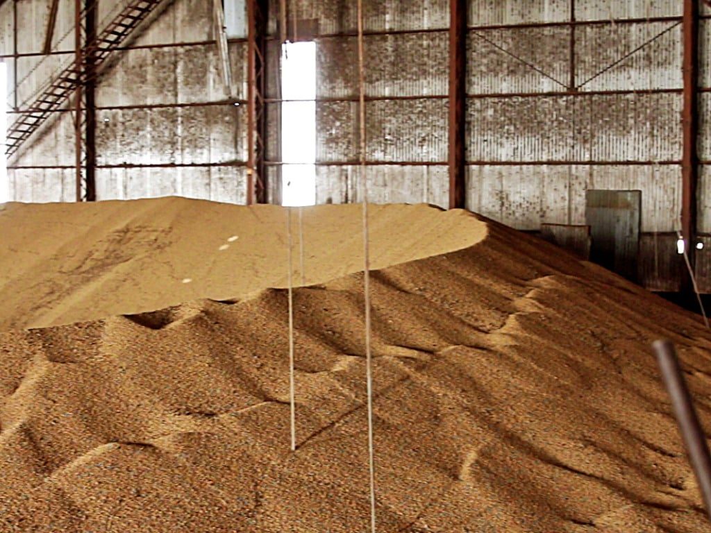 Acidentes fatais em silos de grãos levantam preocupação sobre a segurança no campo