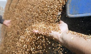 Caramuru Caramuru Alimentosvai investir R$ 251 milhões em novo projeto conjunto com a 3Tentos