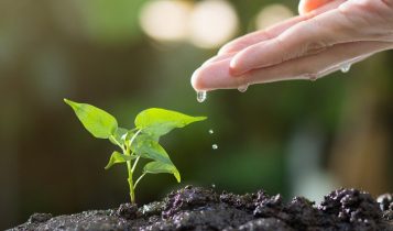 MyCarbon, BB e Brandt firmam acordo para agricultura regenerativa