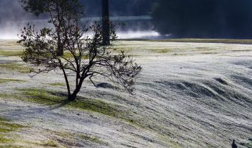 Onda polar: o que é e por que ela provoca forte queda nas temperaturas