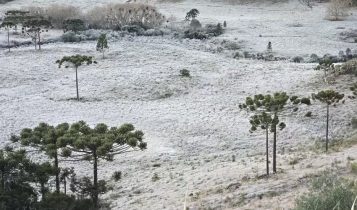 Neve no Brasil: fenômeno raro intriga e especialistas explicam por que acontece