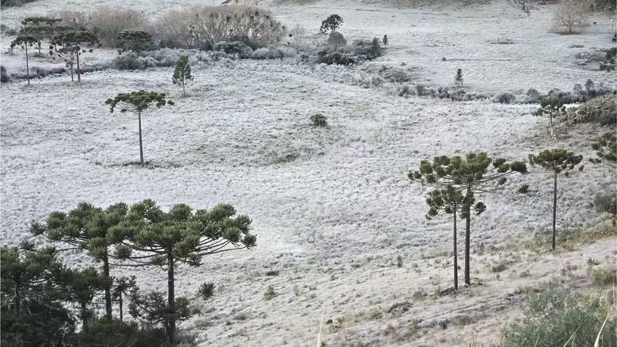 Neve no Brasil: fenômeno raro intriga e especialistas explicam por que acontece