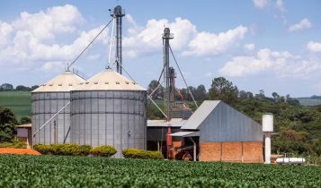Produtores solicitam linha de crédito para armazenagem diante de déficit de 120 milhões de toneladas