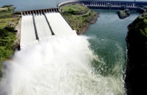 tilápia em Itaipu