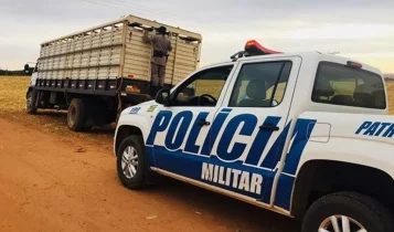 Ladrões roubam cinco carretas de gado e polícia acha parte deles em um Assentamento