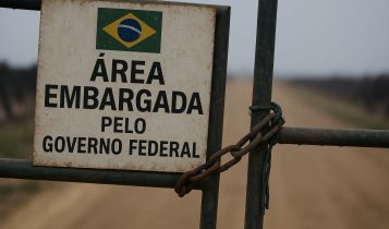 Ibama impede venda de gado e burocracia do desembargo ambiental sufoca o campo