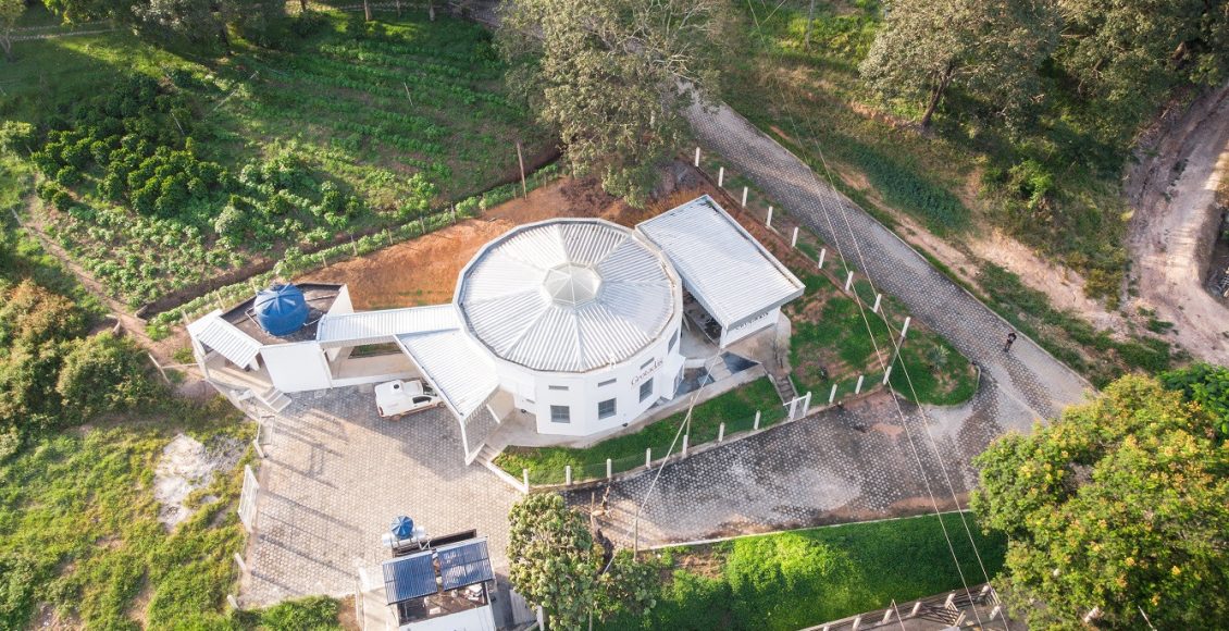 Leite A2 tem espaço para crescer no Brasil e conquistar consumidores