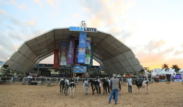 20ª Megaleite movimenta R$ 300 milhões 