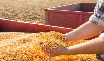 Em Goiânia, compradores do agro têm financiamento imobiliário diferente