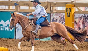 CATEGORIA FÊMEAS Créditos Felipe Ulbrich 1˚lugar_F_Gaúcha Norte_FU63_D850-9655-Aprimorado-NR-Editarx5_Box 26_Guarita Godiva (1)