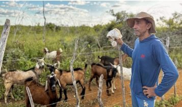Produtor de Apodi (RN) é preso por atirar em cães e afirma ter perdido mais de 100 animais em ataques