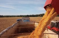 Exportadores dos EUA reportam vendas 792 mil t de soja à China