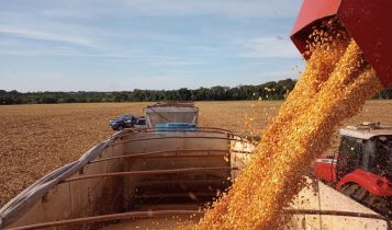 Exportadores dos EUA reportam vendas 792 mil t de soja à China