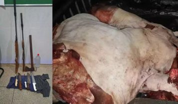 Furto de gado termina com mortos e escancara insegurança no campo