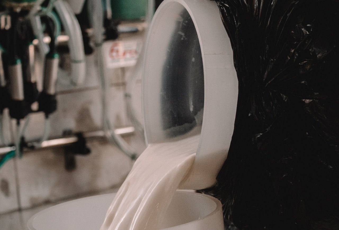 Produtor de leite precisa de pagamento estável independentemente das oscilações do mercado