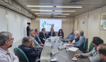 Os produtores alertam para risco de redução drástica da área plantada diante de preços inviáveis e falta de liquidez.