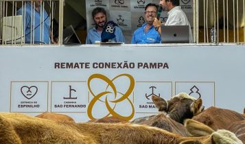 Remates da Conexão Delta G confirmam alta no mercado e valorização de genética superior