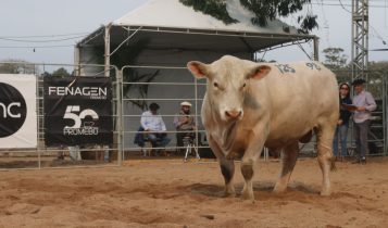 Fenagen Promebo registra 40% de aumento no número de inscrições