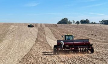 Emater: Chuva limita plantio de trigo no RS e 39% da área está semeada