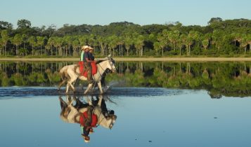 Embrapa e parceiros promovem evento pré-COP sobre os desafios climáticos do Pantanal