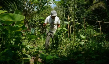 Edital seleciona 36 projetos para fortalecer agricultura familiar