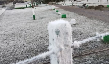 frente fria geada