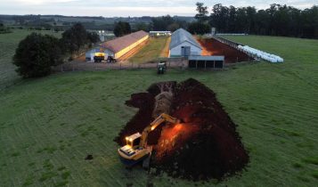 Escavadeira abre buraco em chão de granja avícola na cidade de Montenegro, no Rio Grande do Sul, após a confirmação de caso de gripe aviária. — Foto: REUTERS/Diego Vara