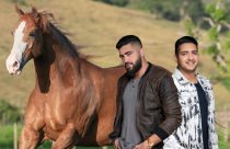 Henrique e Juliano compram égua Quarto de Milha e são os novos criadores da raça