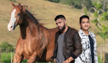 Henrique e Juliano compram égua Quarto de Milha e são os novos criadores da raça