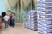 Boas práticas de fabricação na nutrição animal