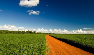 Fim da Moratória da Soja? Cade avalia decisão com potencial de transformar o setor