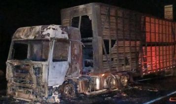 Carreta com gado nelore pega fogo e motorista solta animais na BR-040 para evitar mortes