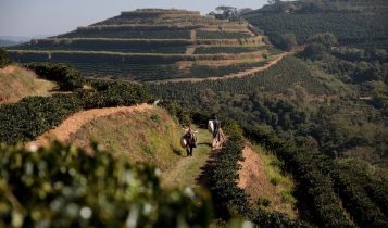 Compradores de 11 países visitam produtores de café da Mantiqueira de Minas