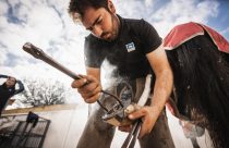 maior fabrica de ferraduras do mundo