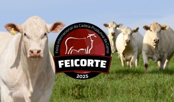 raca canchim marca presenca durante a feicorte 3