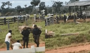 Gado apreendido, curral destruído, sonho soterrado: veja como o Estado age na Amazônia