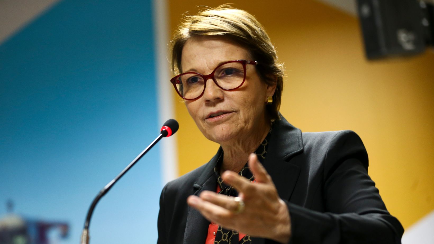 Tereza Cristina classifica a oferta de fertilizantes como tema de segurança nacionalTereza Cristina classifica a oferta de fertilizantes como tema de segurança nacional