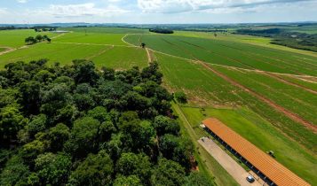 Evento em Santa Rita do Passa Quatro destaca práticas sustentáveis na integração lavoura-pecuária 