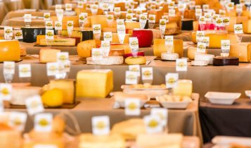 ExpoQueijo Brasil começa com recorde internacional e reforça posição como vitrine mundial do queijo artesanal