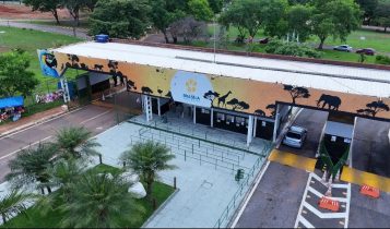 Caso de gripe aviária é confirmado em ave no Zoológico de Brasíliav