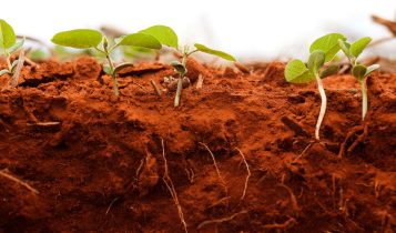 Bioinsumos impulsionam inovação e crescimento no agronegócio