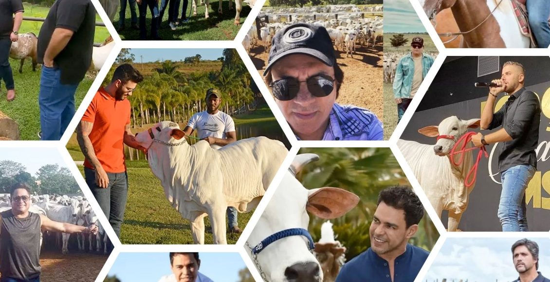 Conheça um pouco da história da música sertaneja brasileira e qual a relação dos cantores com a pecuária brasileira; destaque para os Pais Do Sertanejo Moderno