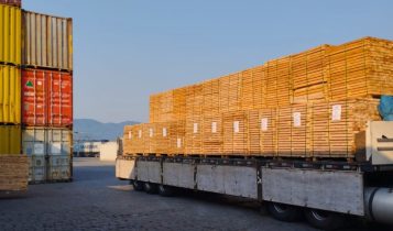 Primeiro semestre é marcado por oscilações nas exportações de madeira
