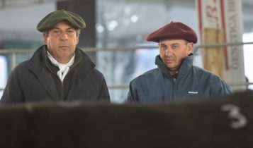 Animais de Santa Catarina se destacam na raça Ultrablack e levam prêmios na 2ª Fenagen