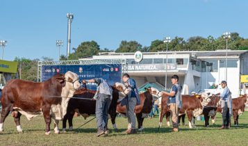 ABHB abre inscrições para participação de animais na 48ª Expointer