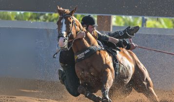 Monte Siao Haras - cavalo Inquestionavel - vaquejada