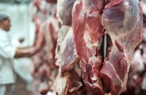MT se consolida como potência global na venda de carne bovina, com 3% das exportações mundiais da proteína