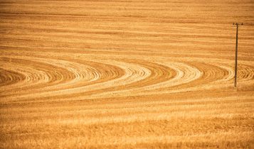 Manejo de solo passa a fazer parte do Zoneamento de Risco Climático da soja