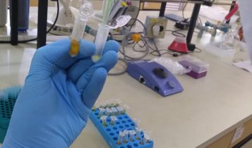 Novo método detecta resíduos de pesticidas no pólen de laranjeira com precisão e menor custo